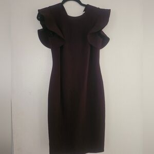 Elegant Burgundy/ Plum Ruffle Sleeve Dress